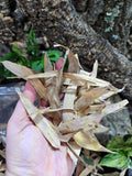 Feuilles de bambou séchées