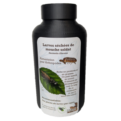 Larves de mouche soldat séchées