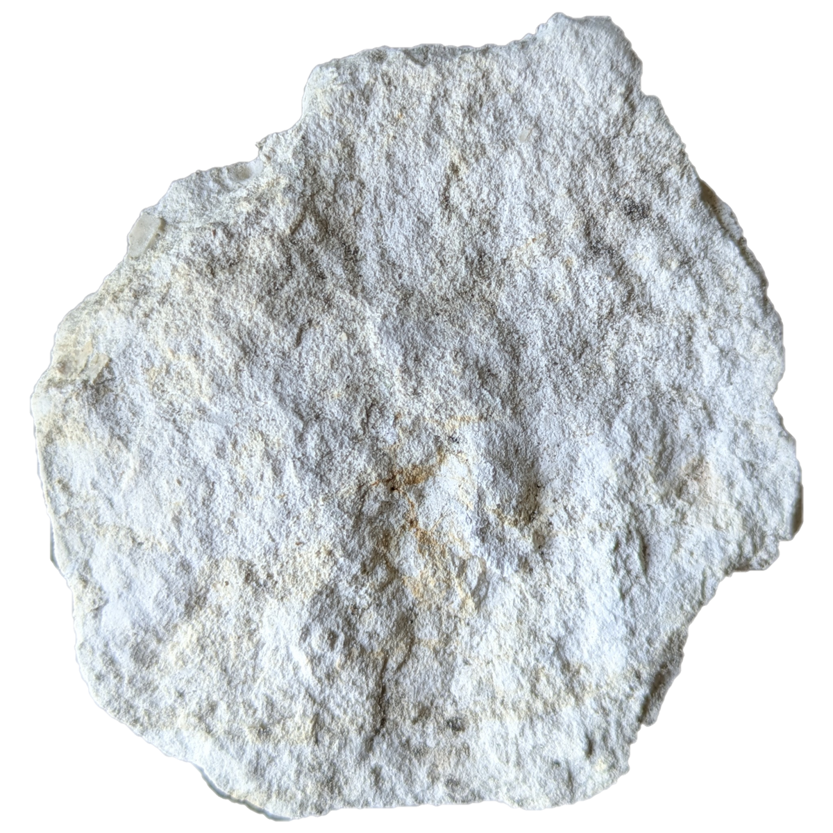 Roche calcaire (limestone)