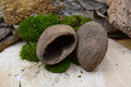 Cosse de palmier (palm pod)