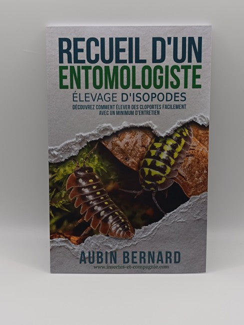 Recueil d'un entomologiste – Élevage d'isopodes