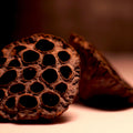 Gousse de lotus séchée