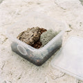 Kit de démarrage isopodes (boîte 3 L équipée)