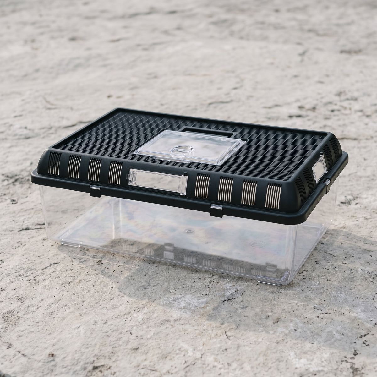 Boîte d'élevage Gigabox XL (42 × 26 × 15 cm, 16 L)